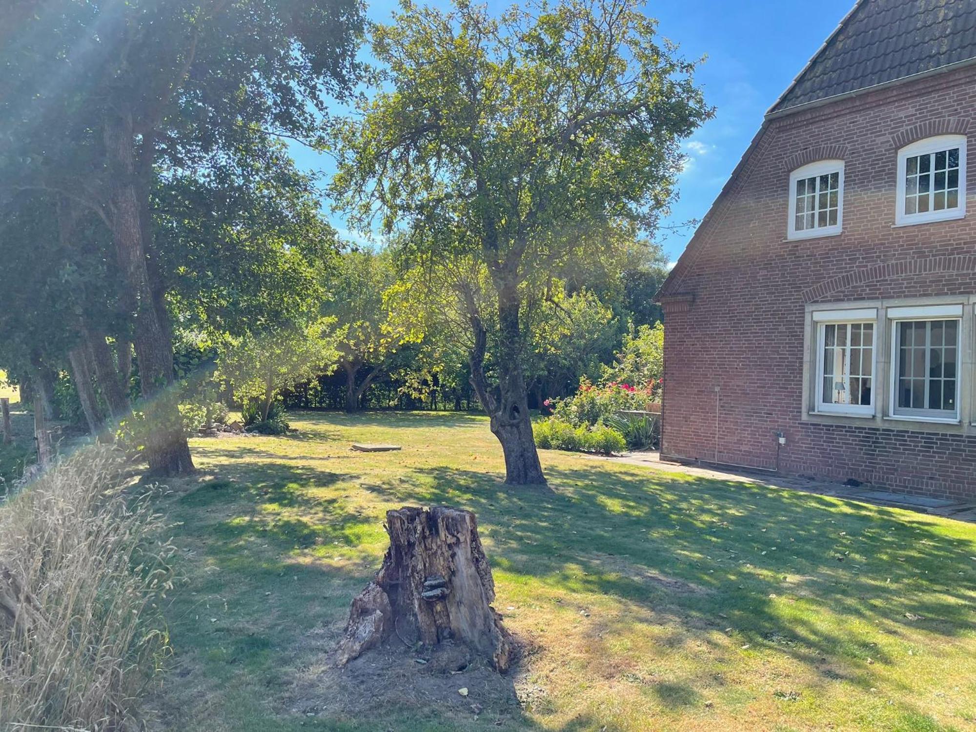 Pension Nordwind Hedwigenkoog Экстерьер фото